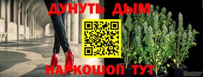эйфоретик Малгобек