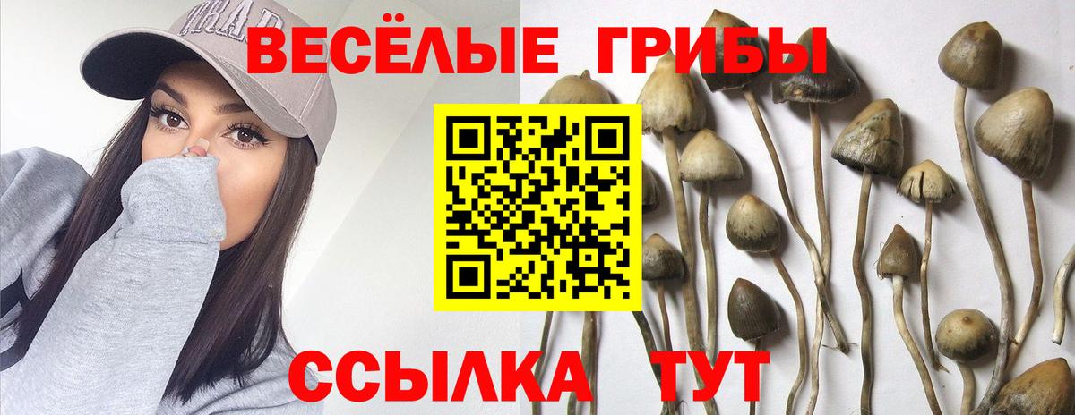 Псилоцибиновые грибы Magic Shrooms  Вход с VPN  Долгопрудный 